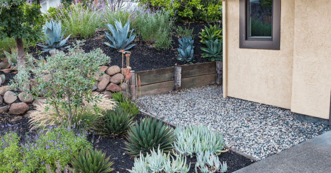 gravel. next to house with plants along the outside