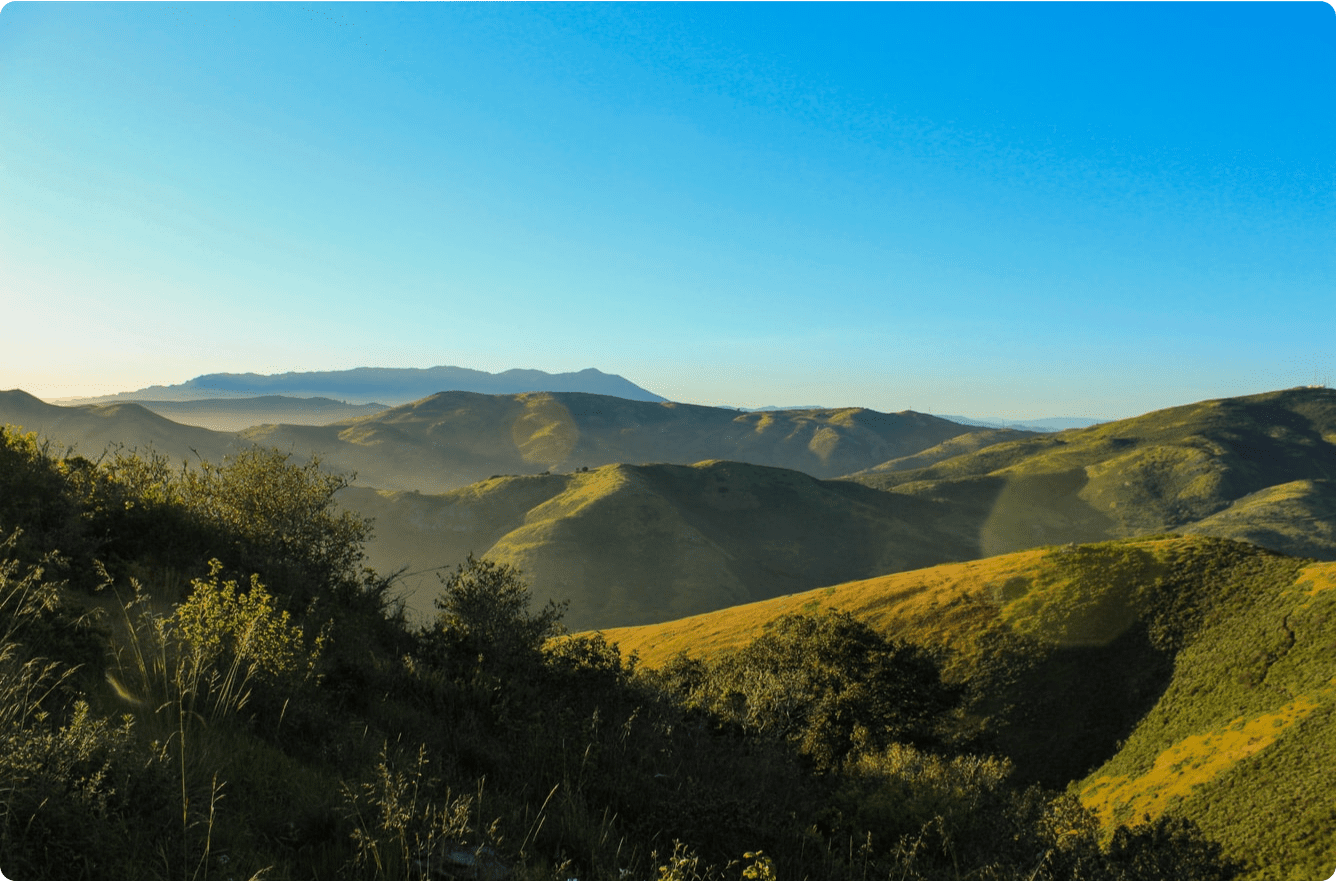 green hills with trees