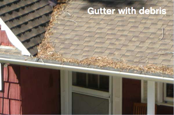 gutter debris