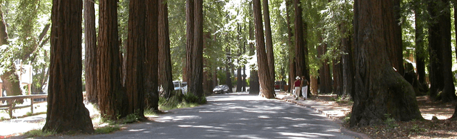 Madrone Canyon entrance