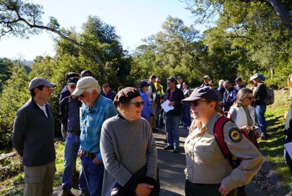 A group of people hiking along a trial surrounded by greenery and trees