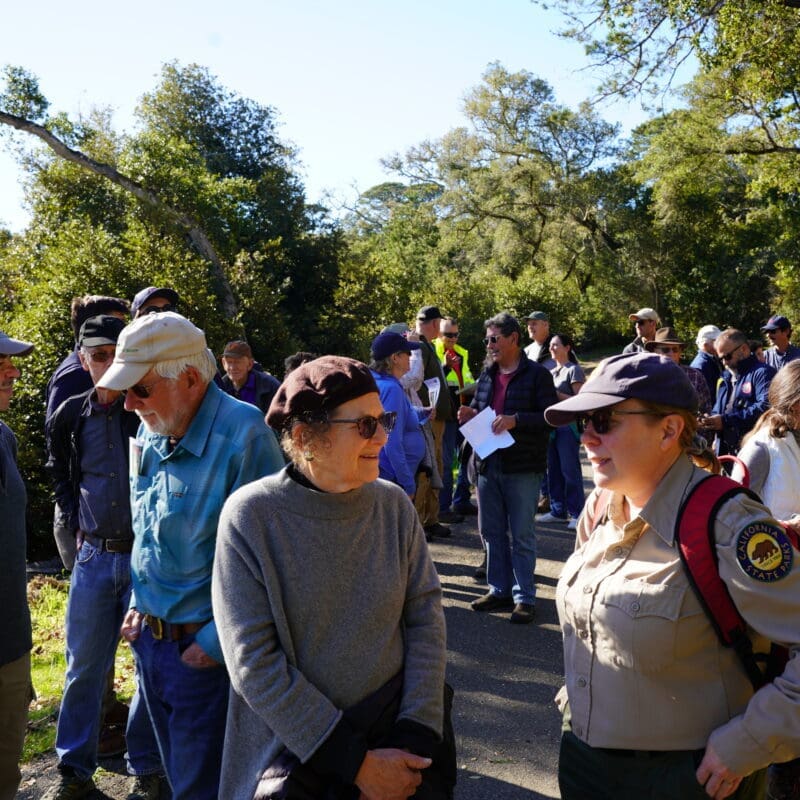 A group of people hiking along a trial surrounded by greenery and trees