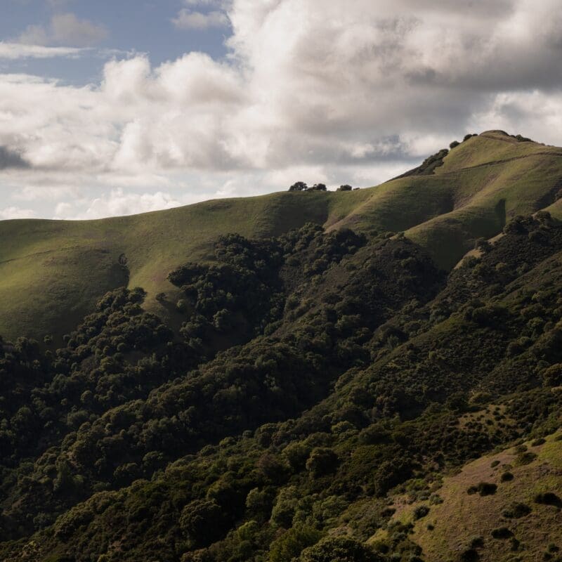 Wide scenic view of a mountain covered in green vegetation. Above the mountain is a bright blue sky with white clouds.