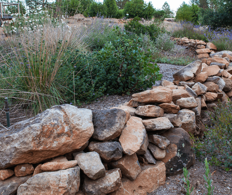 Firescaping to Protect Your Home