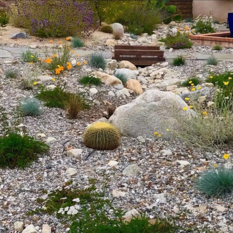 How-to-Choose-the-Right-Mulch