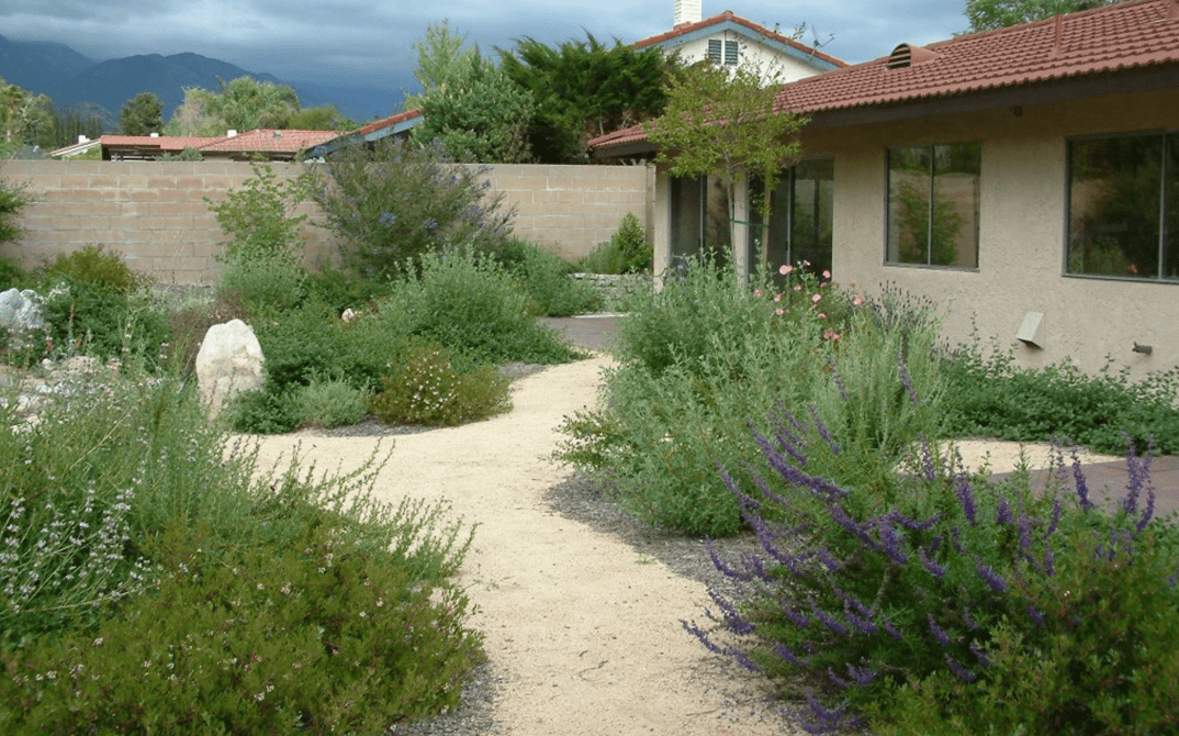 How to Think Lean, Clean, and Green this Spring