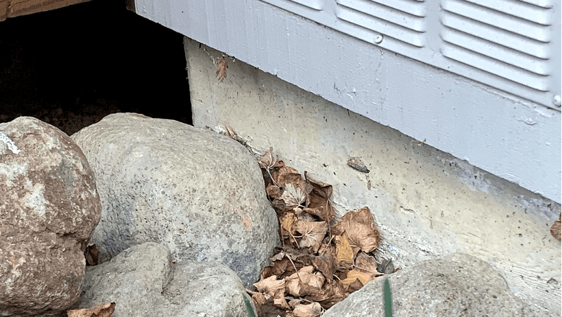 Leaves accumulating at base of house