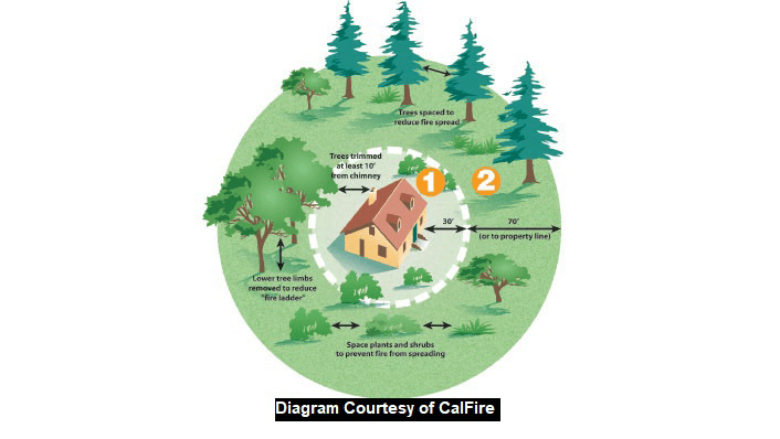 Plant spacing diagram
