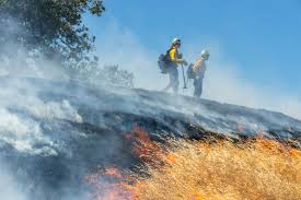 Controlled burning of brush on a hillside with two firefighters standing on the hilltop.