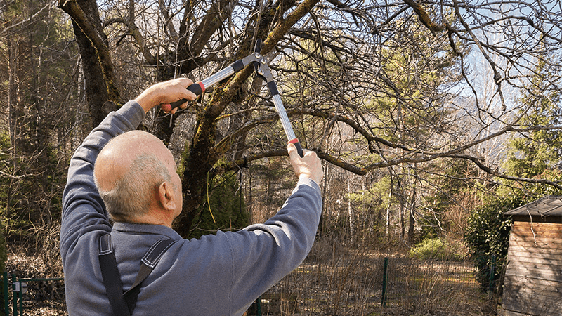 How to Prune for Wildfire