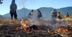 Firefighters doing a controlled burn on a hillside, mountains in the background.