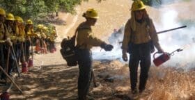 Firefighters lining up on a dry grassy hill.