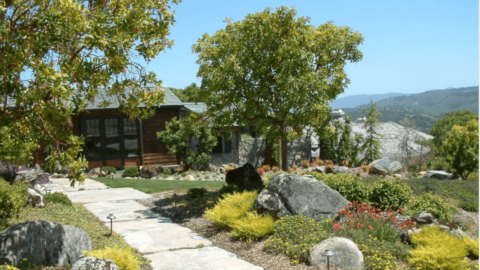 Right Tree photo Plant Master Feb 2021