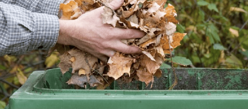 Handful of leaves being put into a green bin