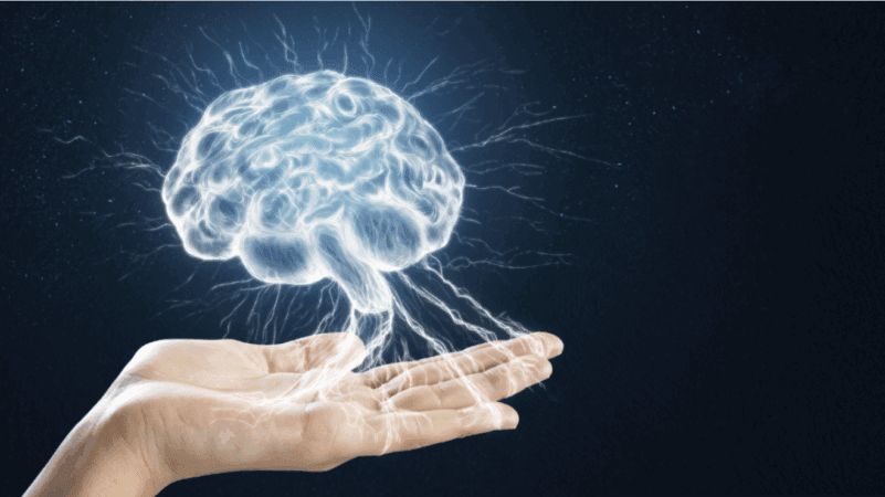 hand holding a brain