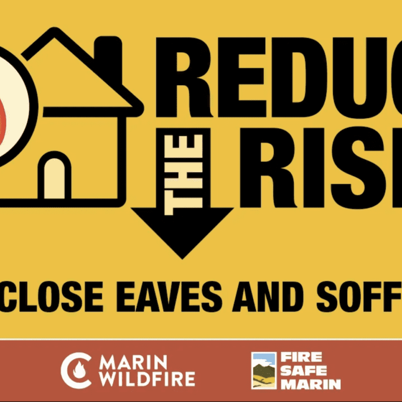Reduce the Risk: Eaves & Soffits