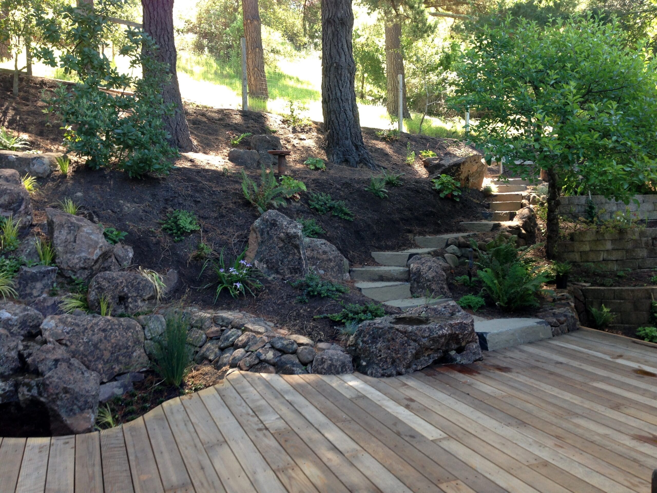 Plant Spacing for a Fire Smart Yard