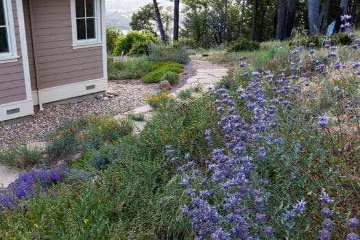 garden away from a house that has gravel around it