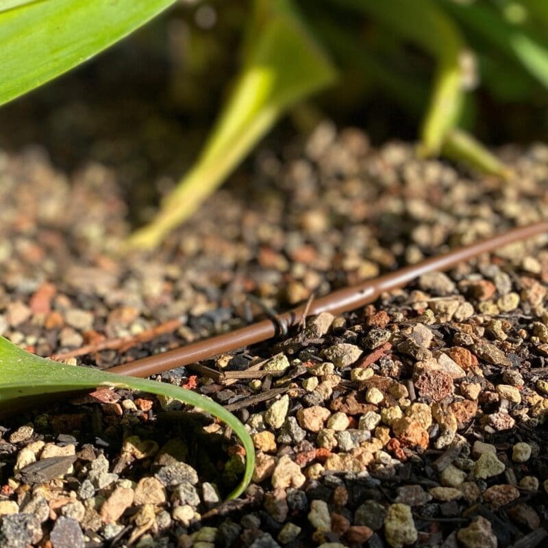 drip line in soil