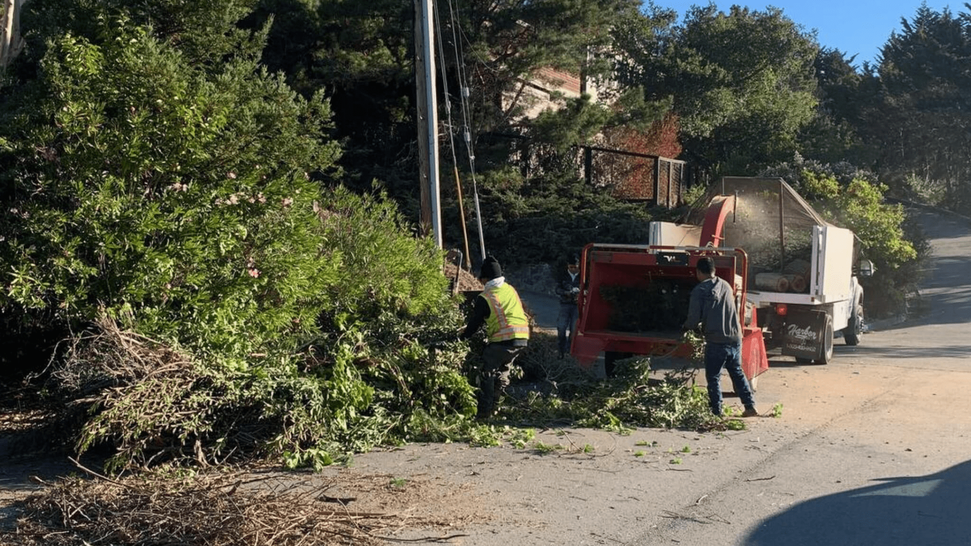 Chipper Crew loads branches into a chipper
