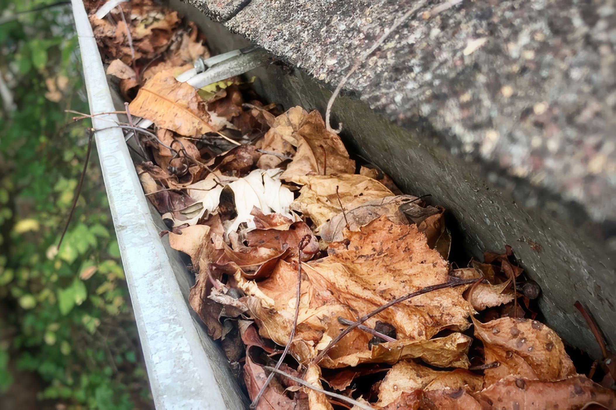 gutter with leaves