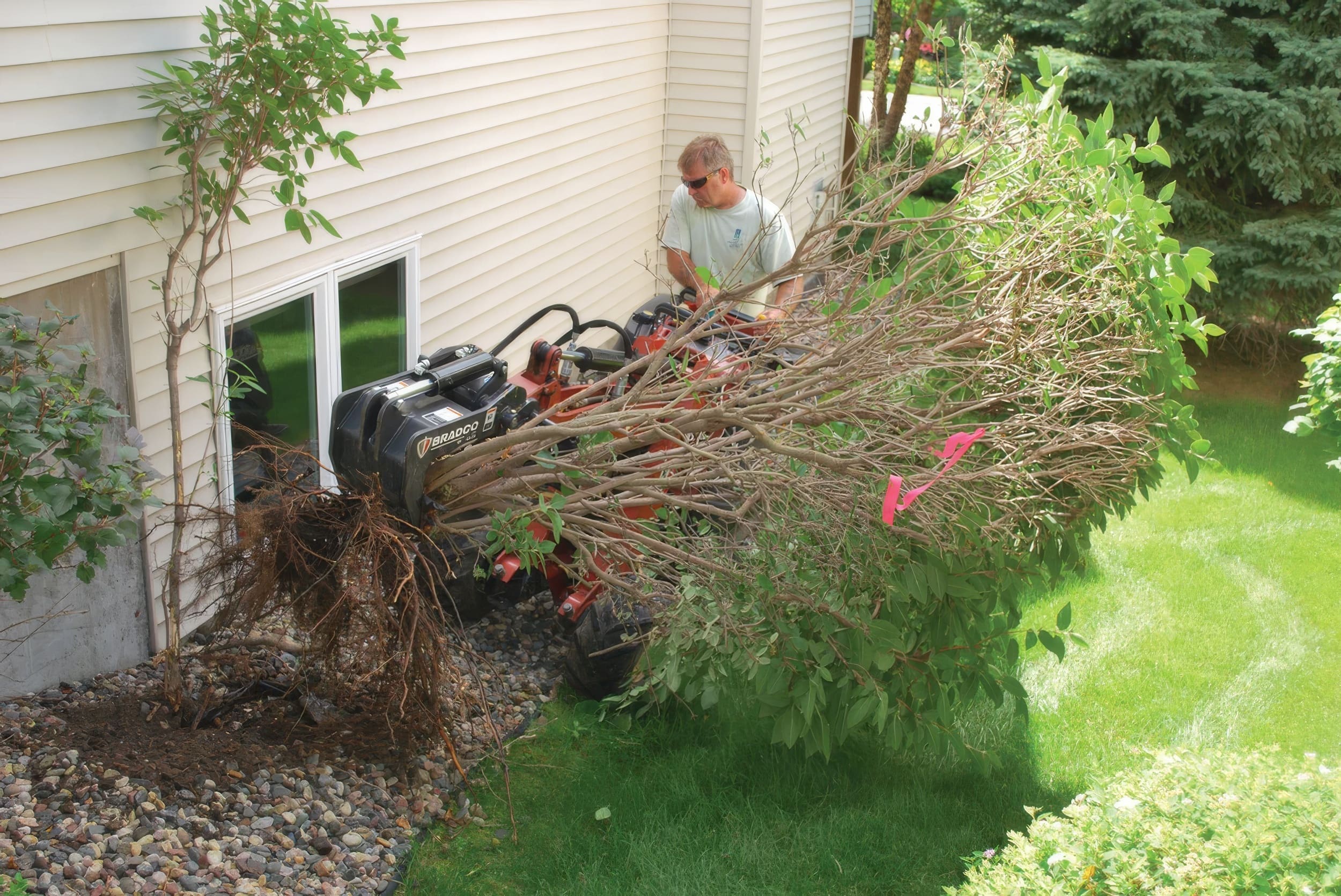 man removing foliage