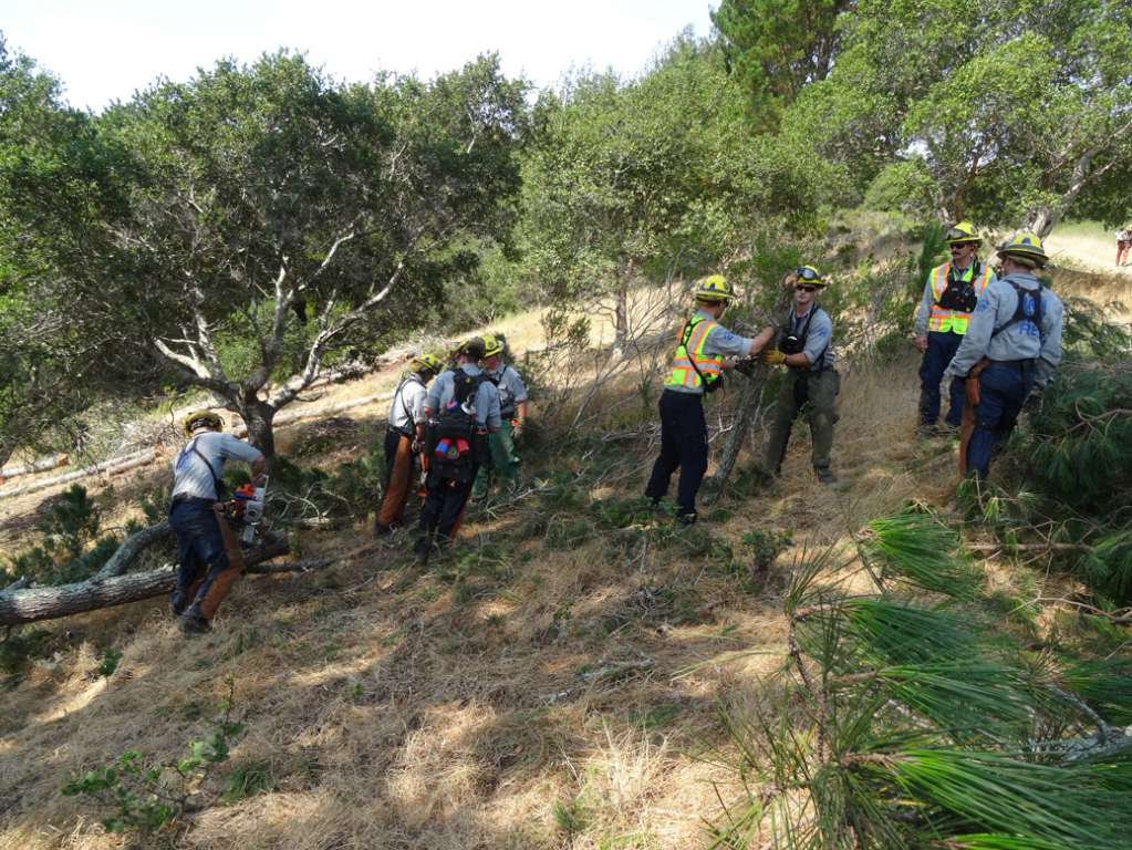 Fire Safe Marin and PG&E Partner to Reduce Wildfire Threat in Marin