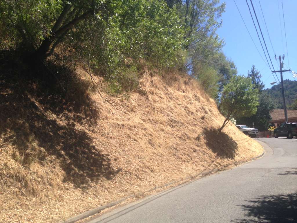 Fire Safe Marin Nears Completion on Several Vegetation Management Projects