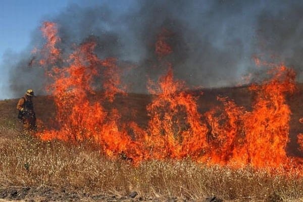 grass-fire.jpg