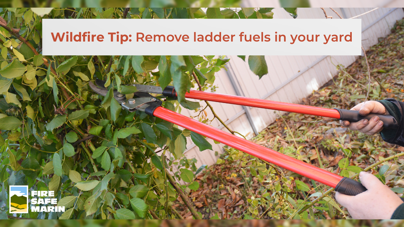 Home Survival Secrets