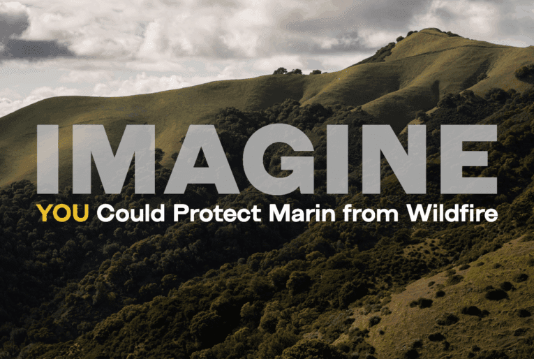 Imagine You Can Protect Marin