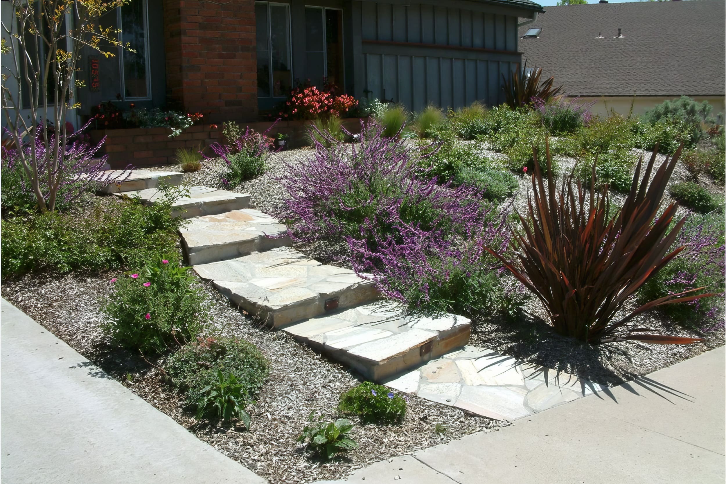 vegetation outside house