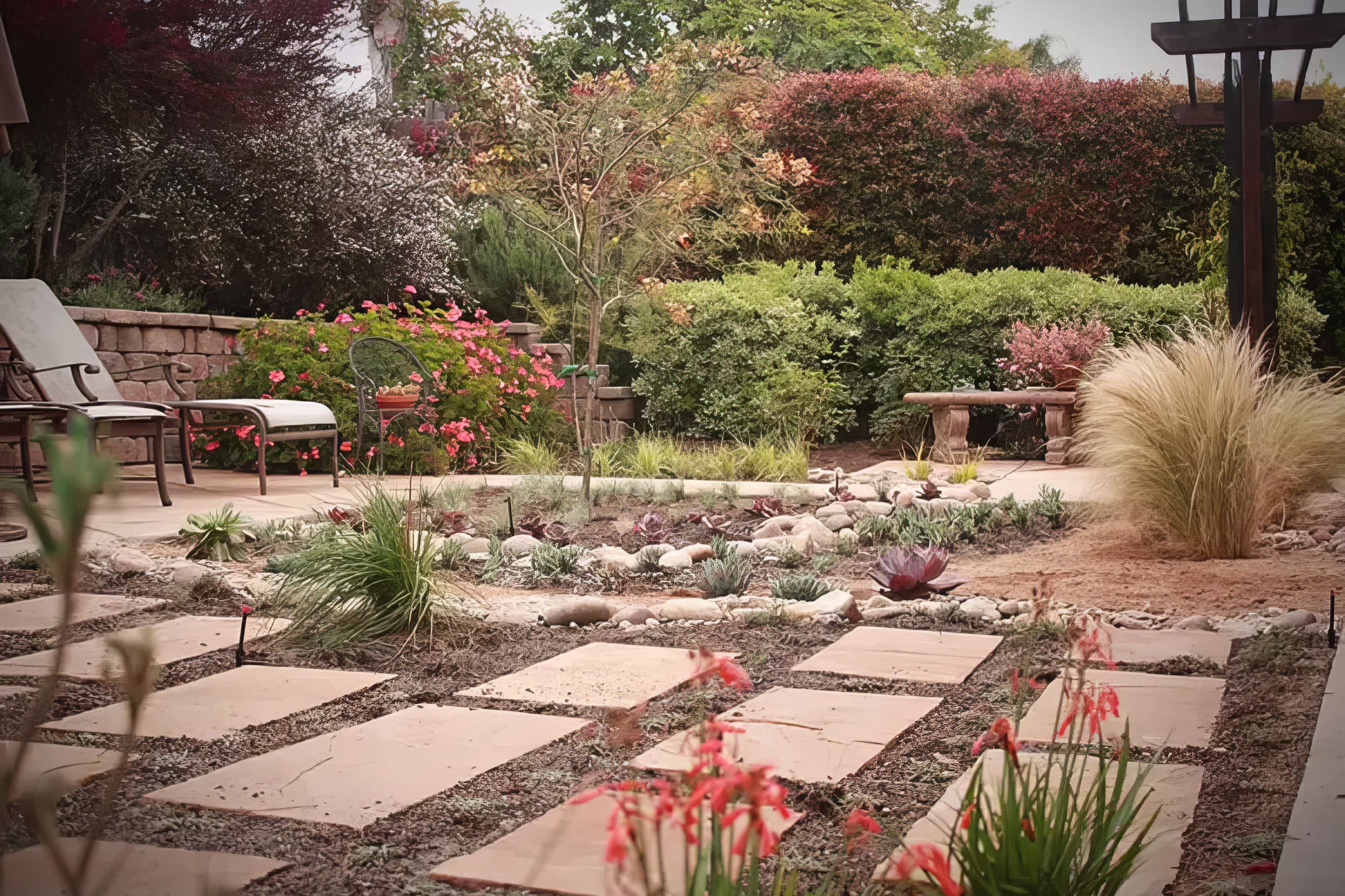 house with minimal vegetation