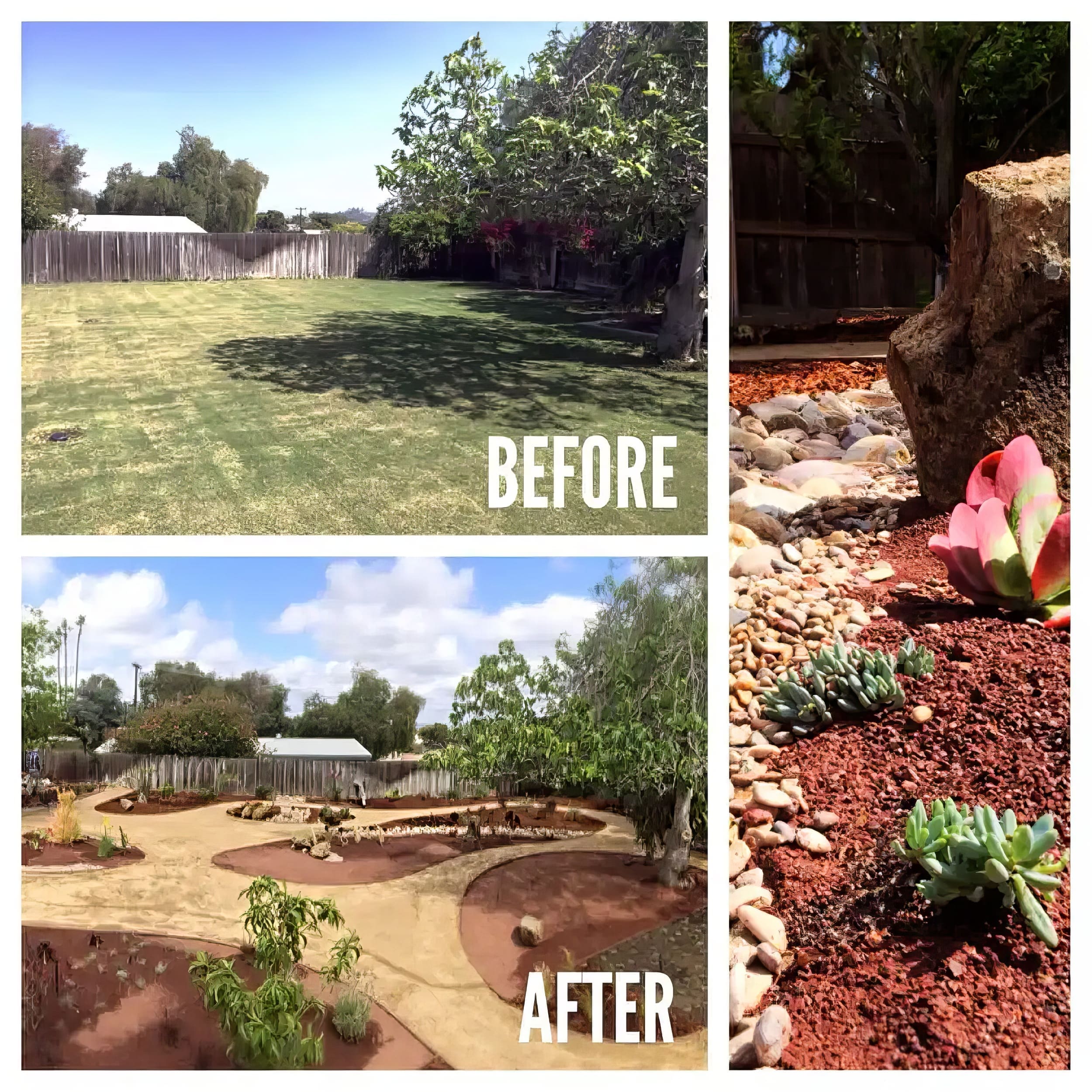 before and after plant and tree spacing