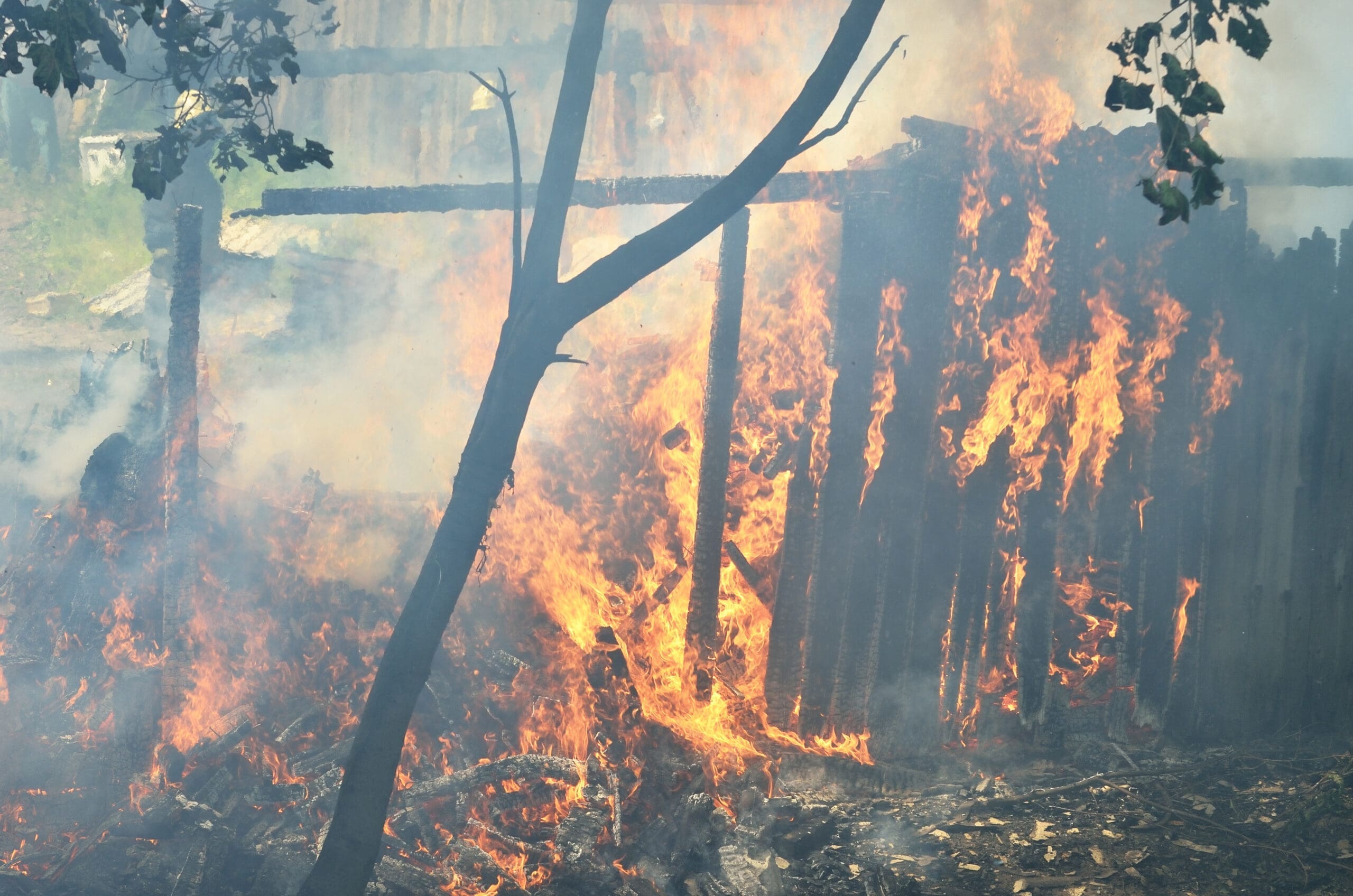 Ruins,Of,The,Wooden,Country,House,,Fence,And,Old,Tree