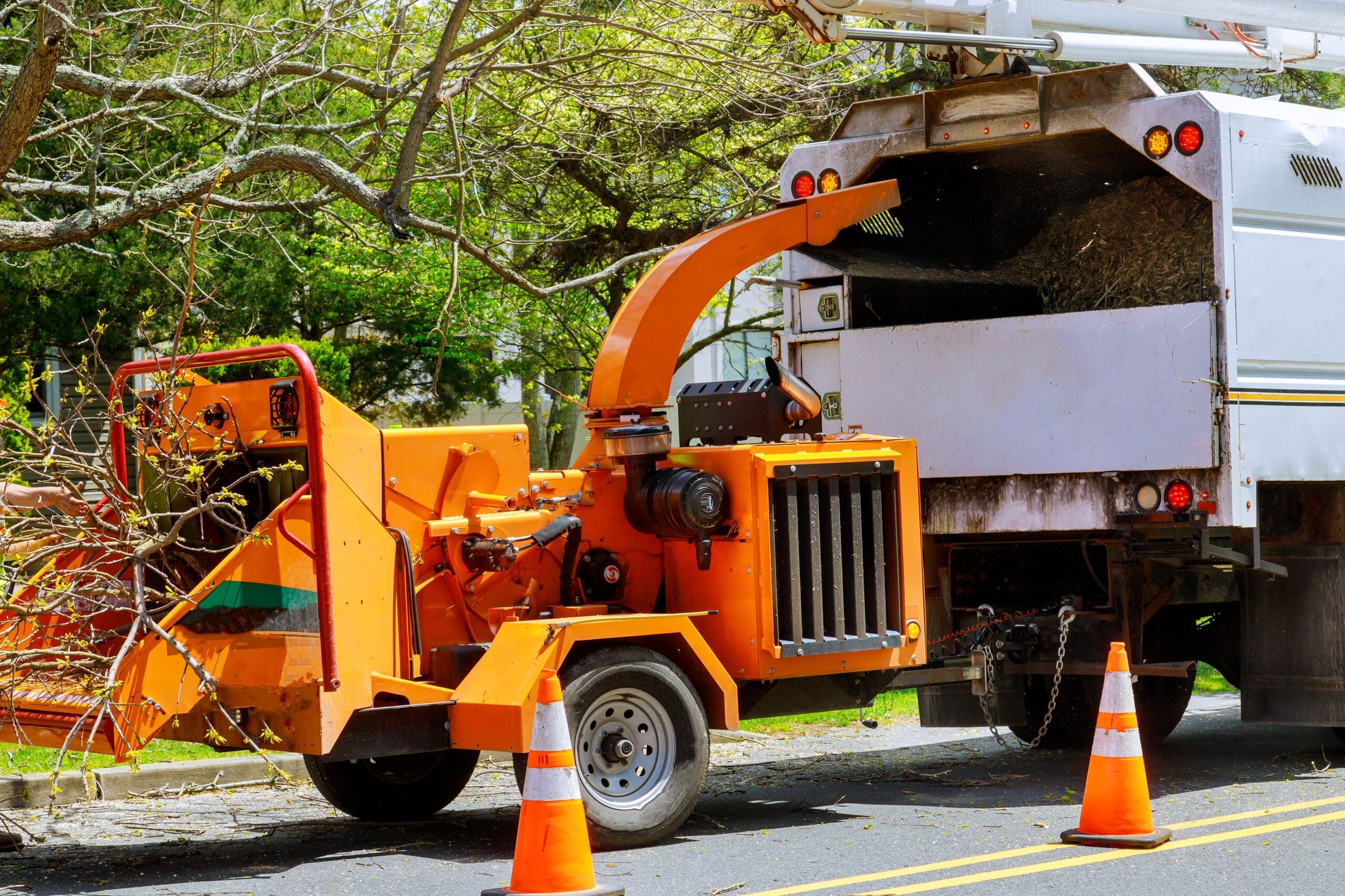 Wood,Chipper,Tree,Branches,Loaded,Cut,Green,Tree,Branches,In