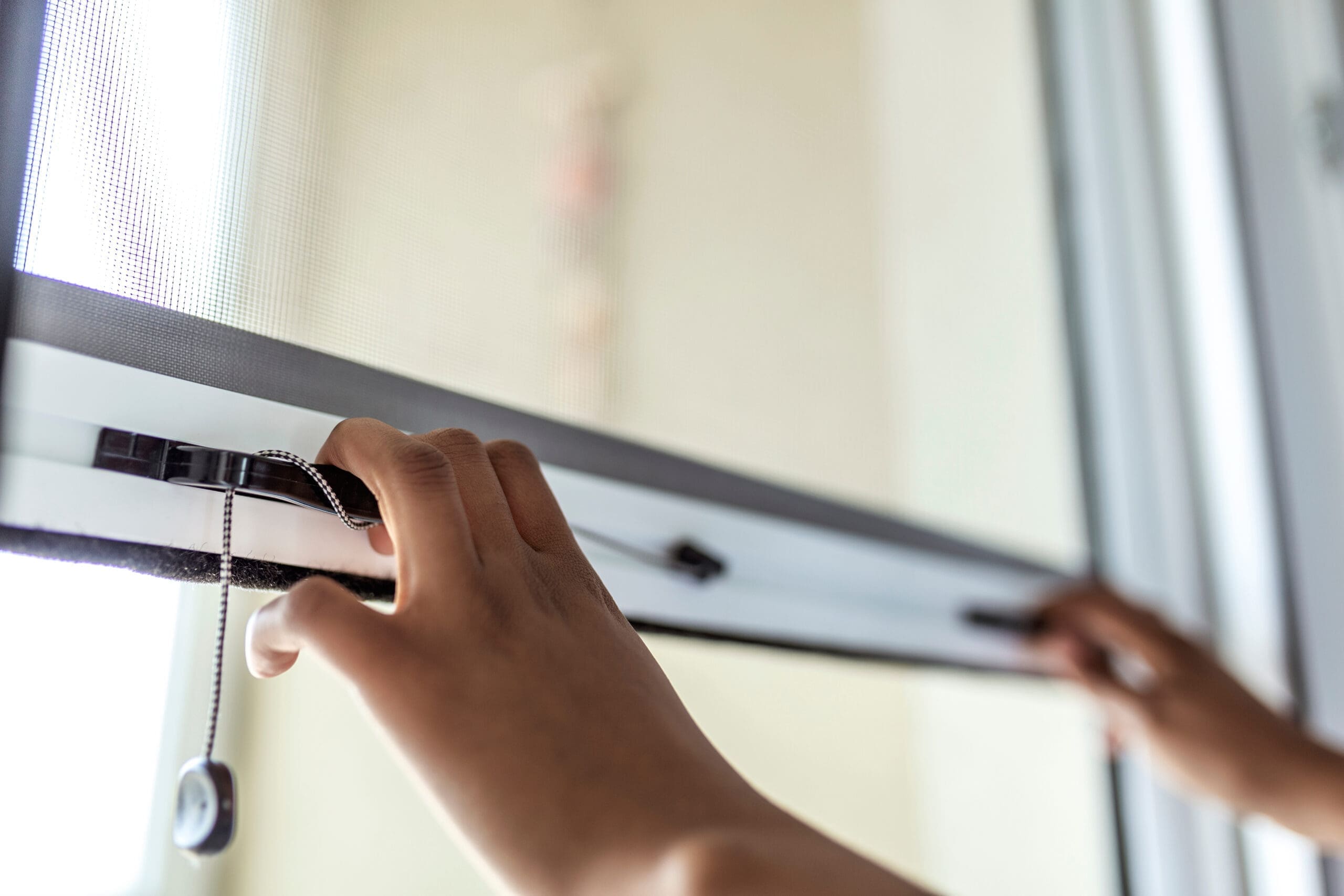 Woman,Hand,Hold,Retractable,Pleated,Insect,Screen,Holder,To,Open