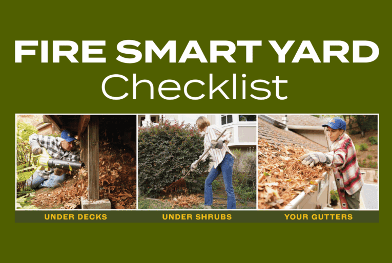 woman raking leaves, woman removing leaves from roof, man blowing leaves from under deck