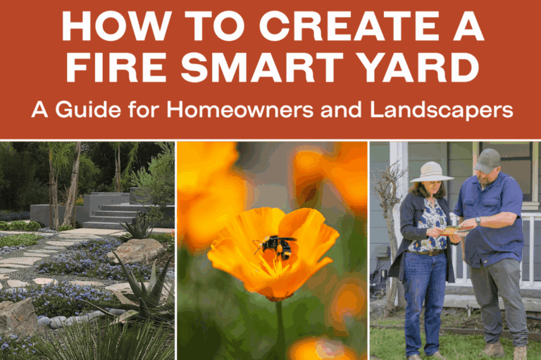 How to Create a Fire Smart Yard - Fire Safe Marin