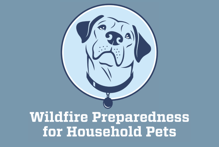 Wildfire Preparedness for Household Pets