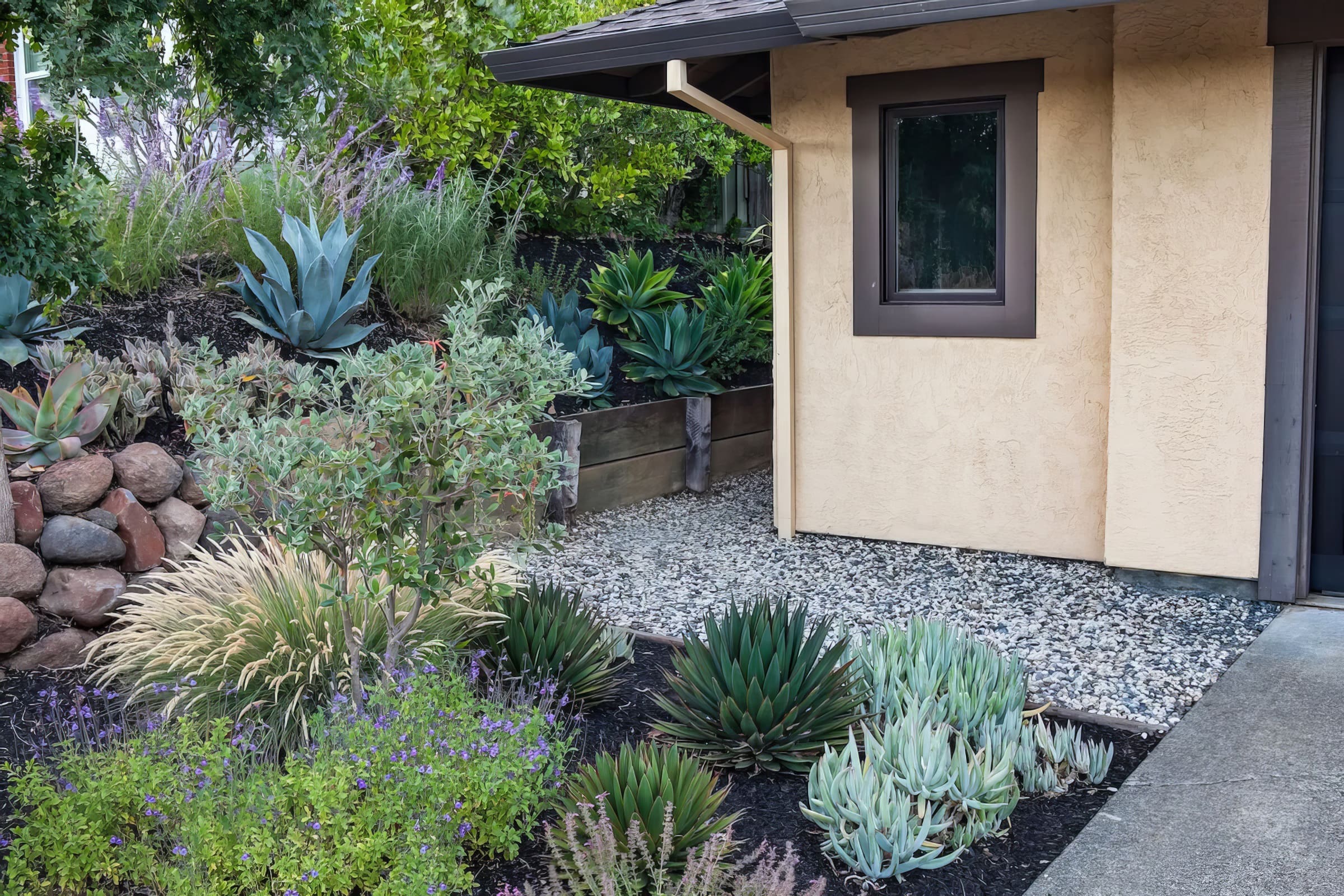 vegetation outside house
